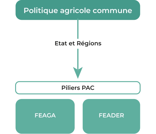 programme leader politique agricole commune pays de pontivy schéma