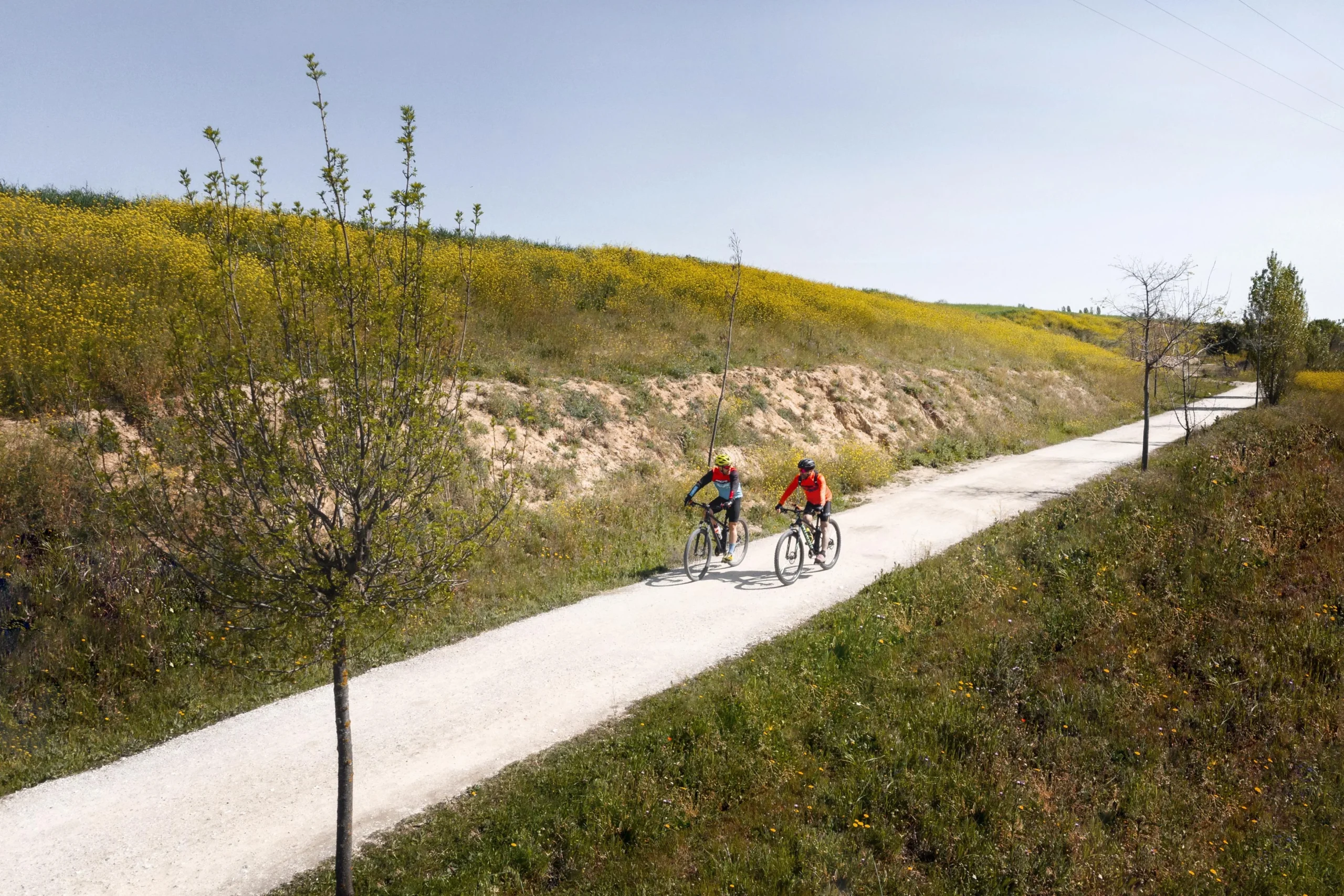 transport-concept-with-people-bicycles